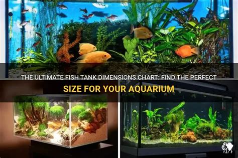 fish tank dimensions chart|Complete Fish Tank Size Chart .